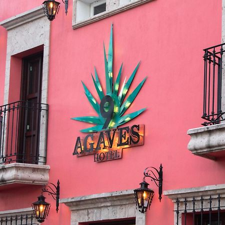 Nueve Agaves Hotel Tequila Exteriör bild