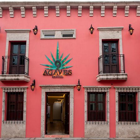 Nueve Agaves Hotel Tequila Exteriör bild