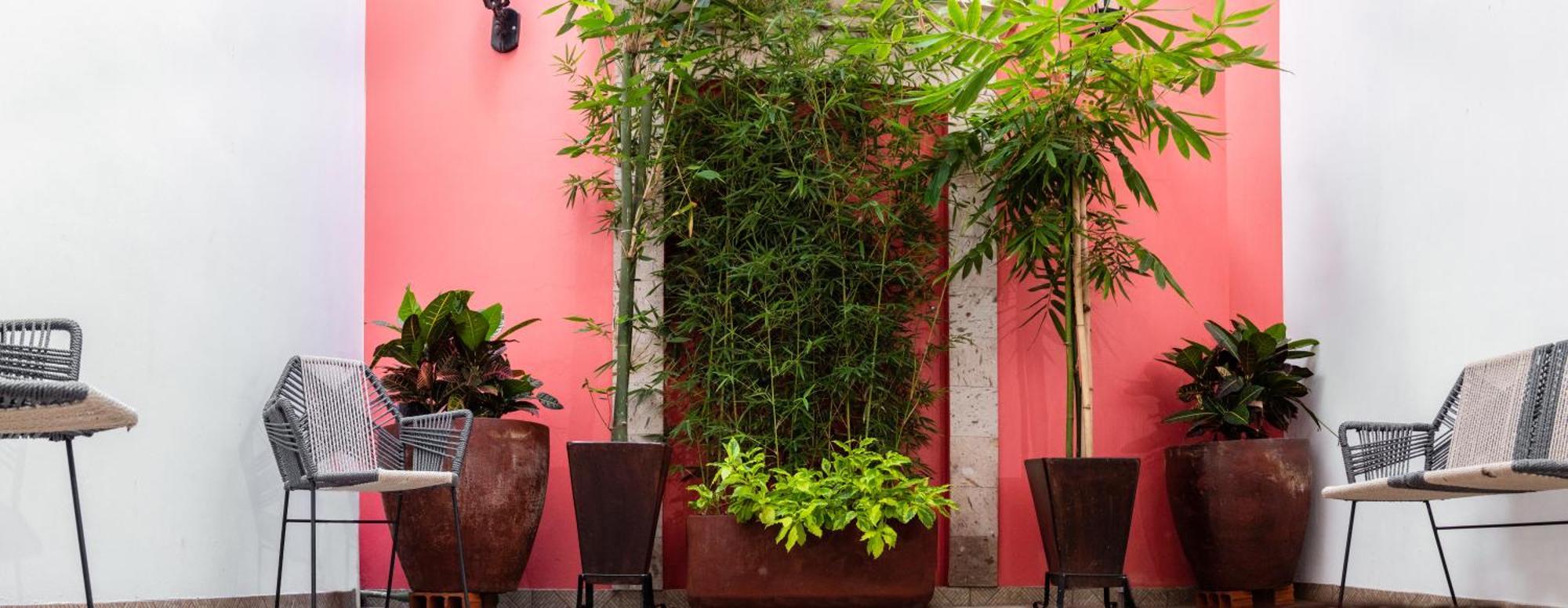 Nueve Agaves Hotel Tequila Exteriör bild
